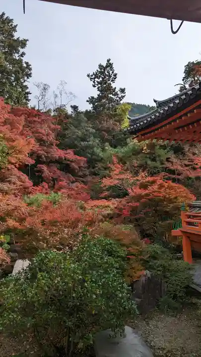 毘沙門堂門跡の自然