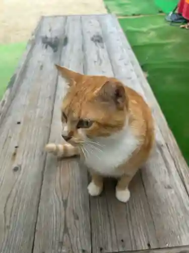縣主神社(岡山県)