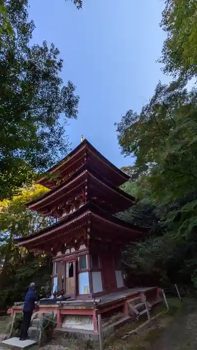 浄瑠璃寺(京都府)