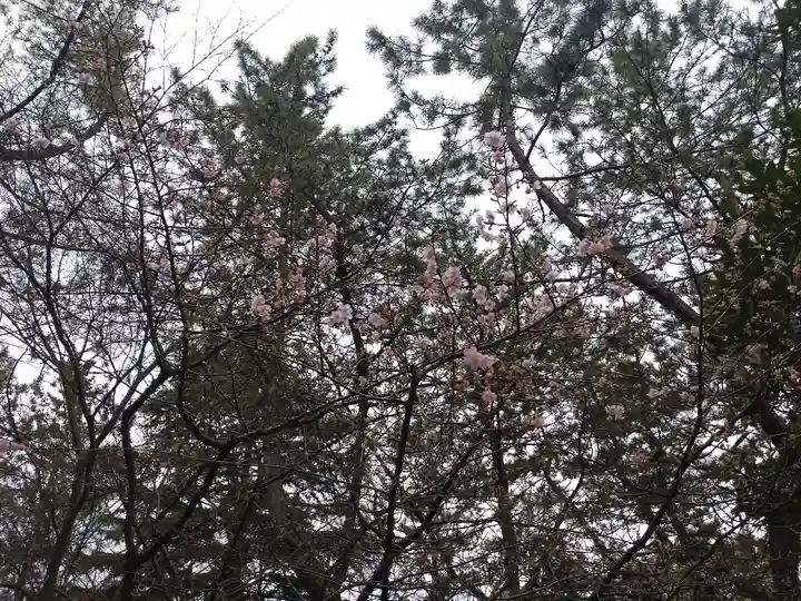 稲毛浅間神社(千葉県)