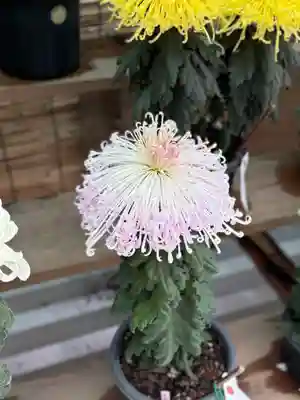 諏訪大社(長野県)