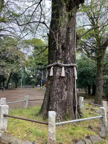 赤坂氷川神社(東京都)