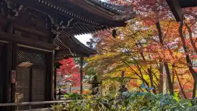 柳谷観音　楊谷寺(京都府)