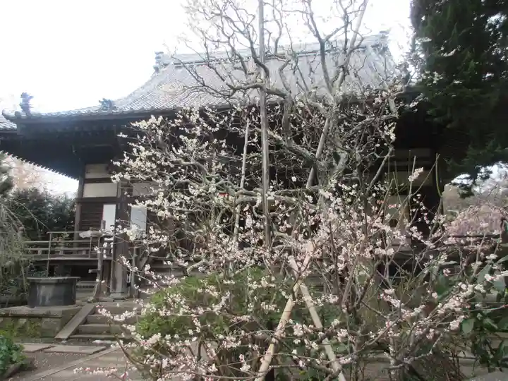 宝戒寺(神奈川県)