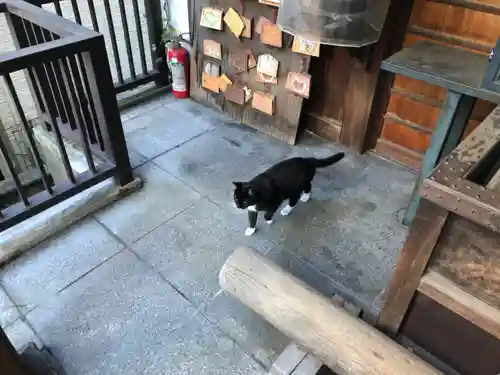 道祖神社の動物