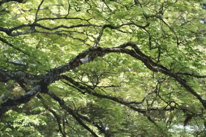 高野山金剛峯寺(和歌山県)