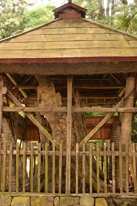 塩野神社(長野県)
