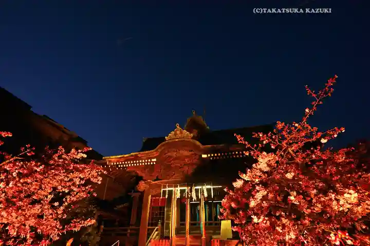 桜神宮(東京都)