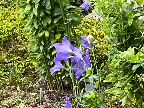 廬山寺（廬山天台講寺）(京都府)