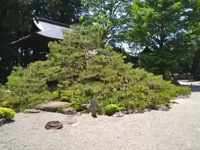 慈雲寺(長野県)