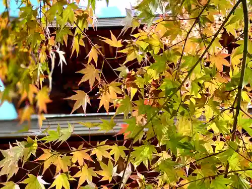 温泉寺(長野県)