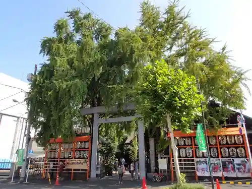 波除神社（波除稲荷神社）の鳥居
