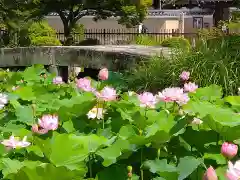 天龍寺(京都府)