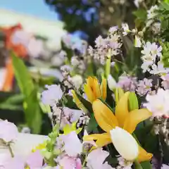 早稲田神社の手水