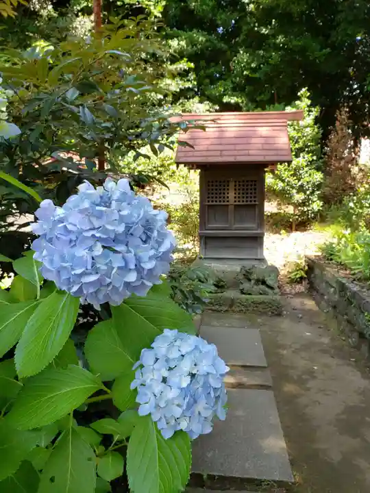 渋谷氷川神社(東京都)
