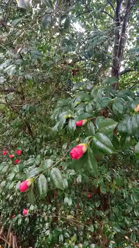 武雄神社の自然
