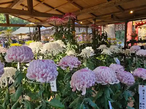 武蔵一宮氷川神社(埼玉県)
