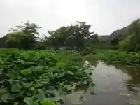 鶴岡八幡宮の庭園