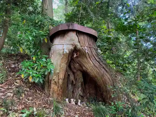大井神社の自然