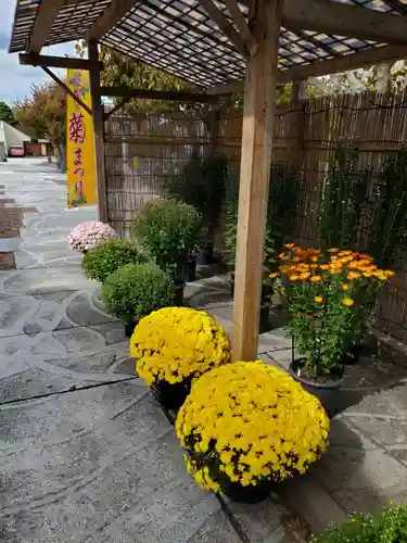笠間稲荷神社(茨城県)