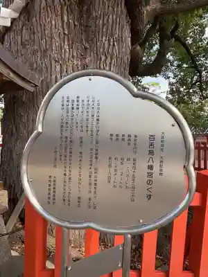 百舌鳥八幡宮(大阪府)