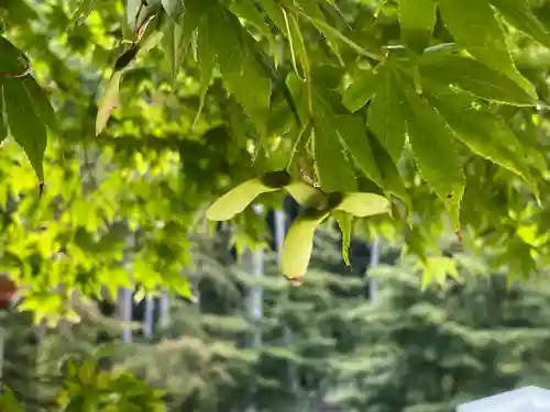 貴船神社奥宮(京都府)