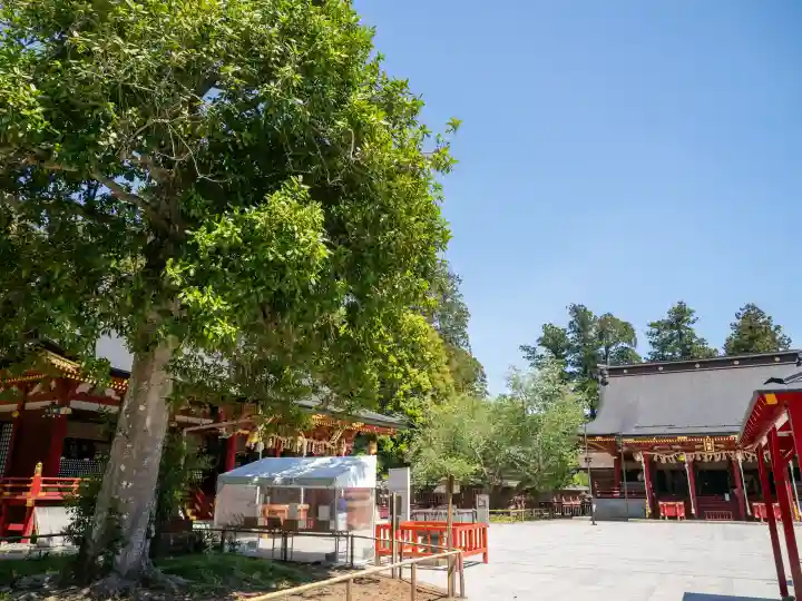 志波彦神社・鹽竈神社の{uncategorized: "未分類", other: "その他", undefined: "問題あり", building: "その他建物", grave: "お墓", sacred_gate: "鳥居", guardian: "狛犬", statue: "像", buddha: "仏像", history: "歴史", nature: "自然", garden: "庭園", animal: "動物", pagoda: "塔", temizu: "手水舎", mountain_gate: "山門・神門", sanctuary: "本殿・本堂", subordinate: "末社・摂社", art: "芸術", scenery: "景色", jizo: "地蔵", ema: "絵馬", goshuin: "御朱印", omikuji: "おみくじ", items: "授与品その他", amulet: "お守り", goshuincho: "御朱印帳", eats: "食事", festival: "お祭り", votive_dance: "神楽", shichigosan: "七五三参", wedding: "結婚式", experience: "体験その他", initially: "初詣", around: "周辺", anti_infection: "感染症対策"}