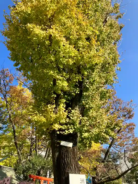 木場 洲﨑神社(東京都)