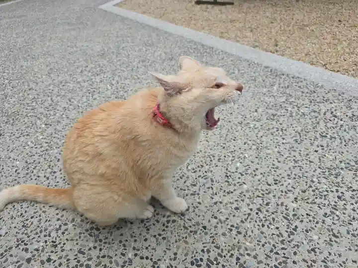喜見院(滋賀県)
