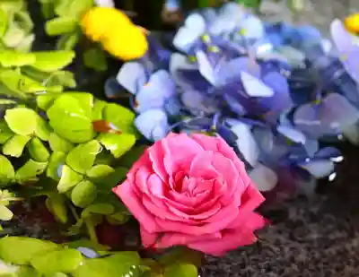三津厳島神社の手水舎