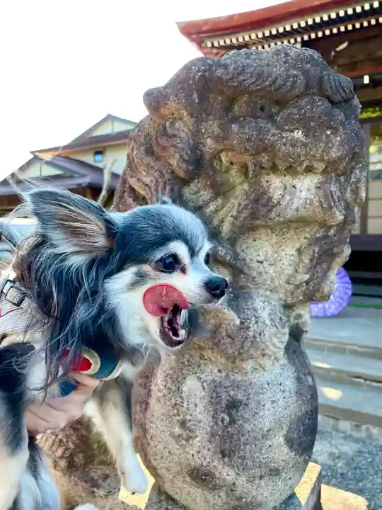 伊達神社の動物