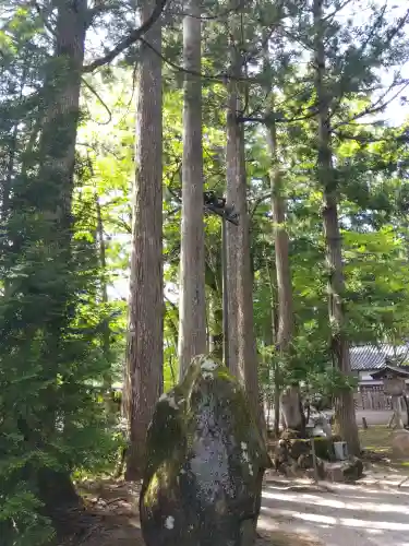 雄山神社中宮祈願殿の{uncategorized: "未分類", other: "その他", undefined: "問題あり", building: "その他建物", grave: "お墓", sacred_gate: "鳥居", guardian: "狛犬", statue: "像", buddha: "仏像", history: "歴史", nature: "自然", garden: "庭園", animal: "動物", pagoda: "塔", temizu: "手水舎", mountain_gate: "山門・神門", sanctuary: "本殿・本堂", subordinate: "末社・摂社", art: "芸術", scenery: "景色", jizo: "地蔵", ema: "絵馬", goshuin: "御朱印", omikuji: "おみくじ", items: "授与品その他", amulet: "お守り", goshuincho: "御朱印帳", eats: "食事", festival: "お祭り", votive_dance: "神楽", shichigosan: "七五三参", wedding: "結婚式", experience: "体験その他", initially: "初詣", around: "周辺", anti_infection: "感染症対策"}