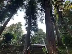 大宮温泉神社(栃木県)