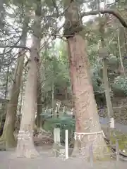天祖神社の自然
