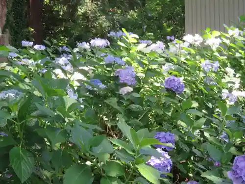 仙波東照宮(埼玉県)