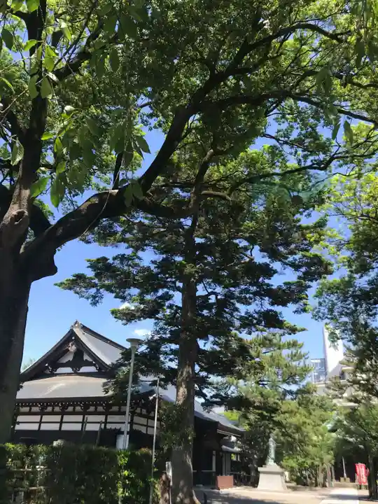 安養寺の本殿・本堂