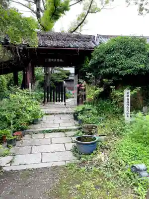 般若寺 ❁﻿コスモス寺❁(奈良県)