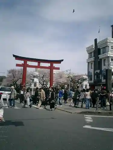 鶴岡八幡宮の鳥居