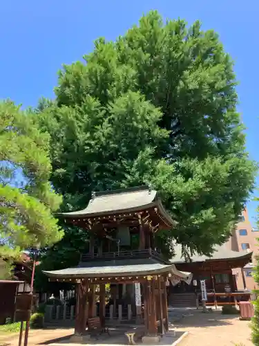 飛騨国分寺(岐阜県)