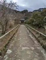 浄瑠璃寺(京都府)