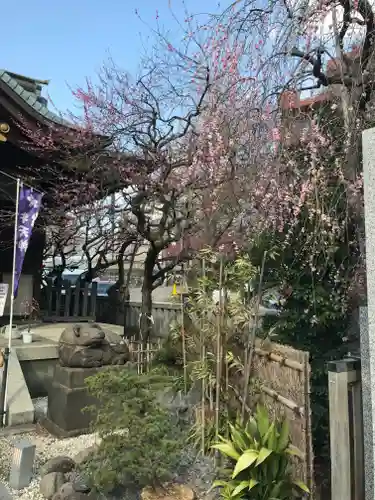 牛天神北野神社(東京都)