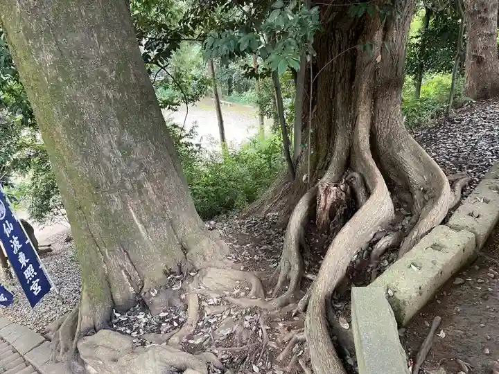 仙波東照宮(埼玉県)
