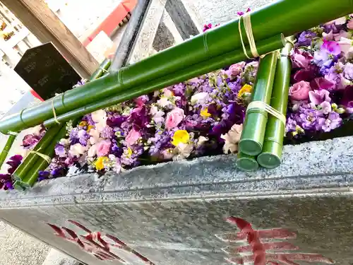 草加神社(埼玉県)