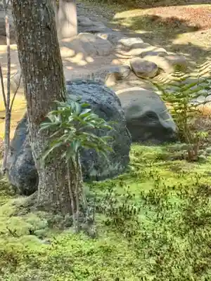 慈雲院(京都府)