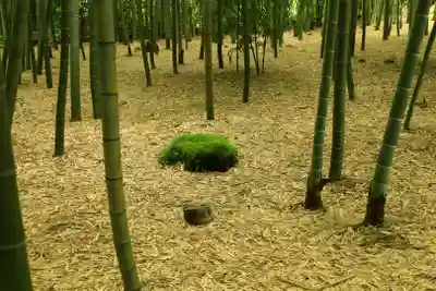 報国寺(神奈川県)