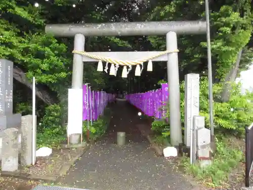 泉神社の鳥居