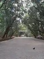 熱田神宮(愛知県)