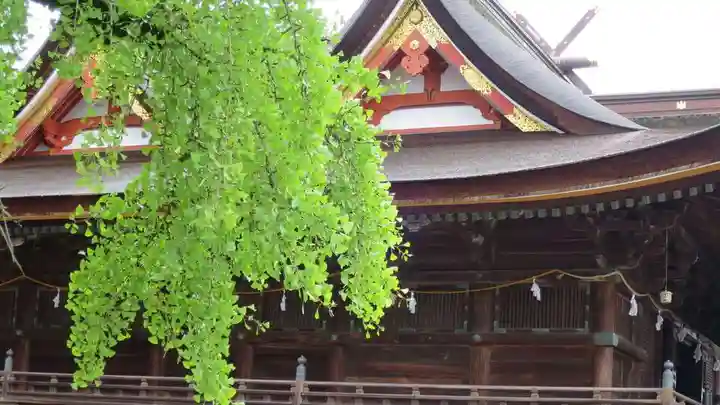吉備津神社の本殿・本堂