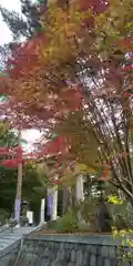 上川神社の景色