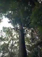 熊野神社(千葉県)